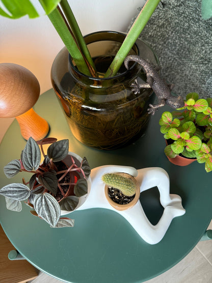 Lazy Larry™ – The Chill-Out Planter
