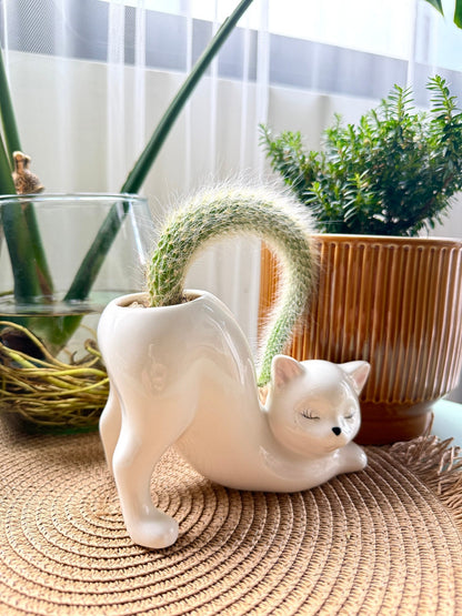 WhiskerBloom™ - Kitty Ceramic Pot