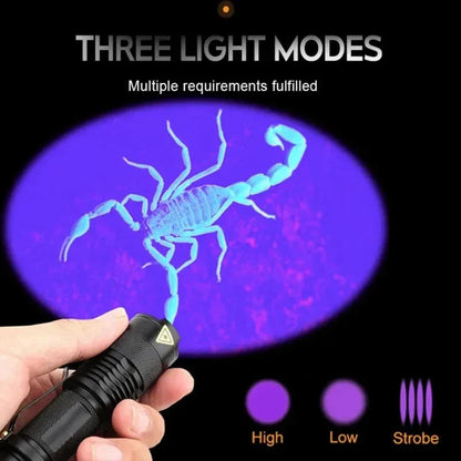 Inspection Pro | LED UV Flashlight for Stain Detection with Compact Design | Ideal for Home and Pet Care