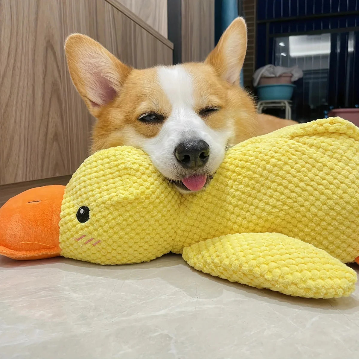 Interactive Dog Toy | Calming Duck with Quacking Sound | Engaging Chew Toy for Stress Relief