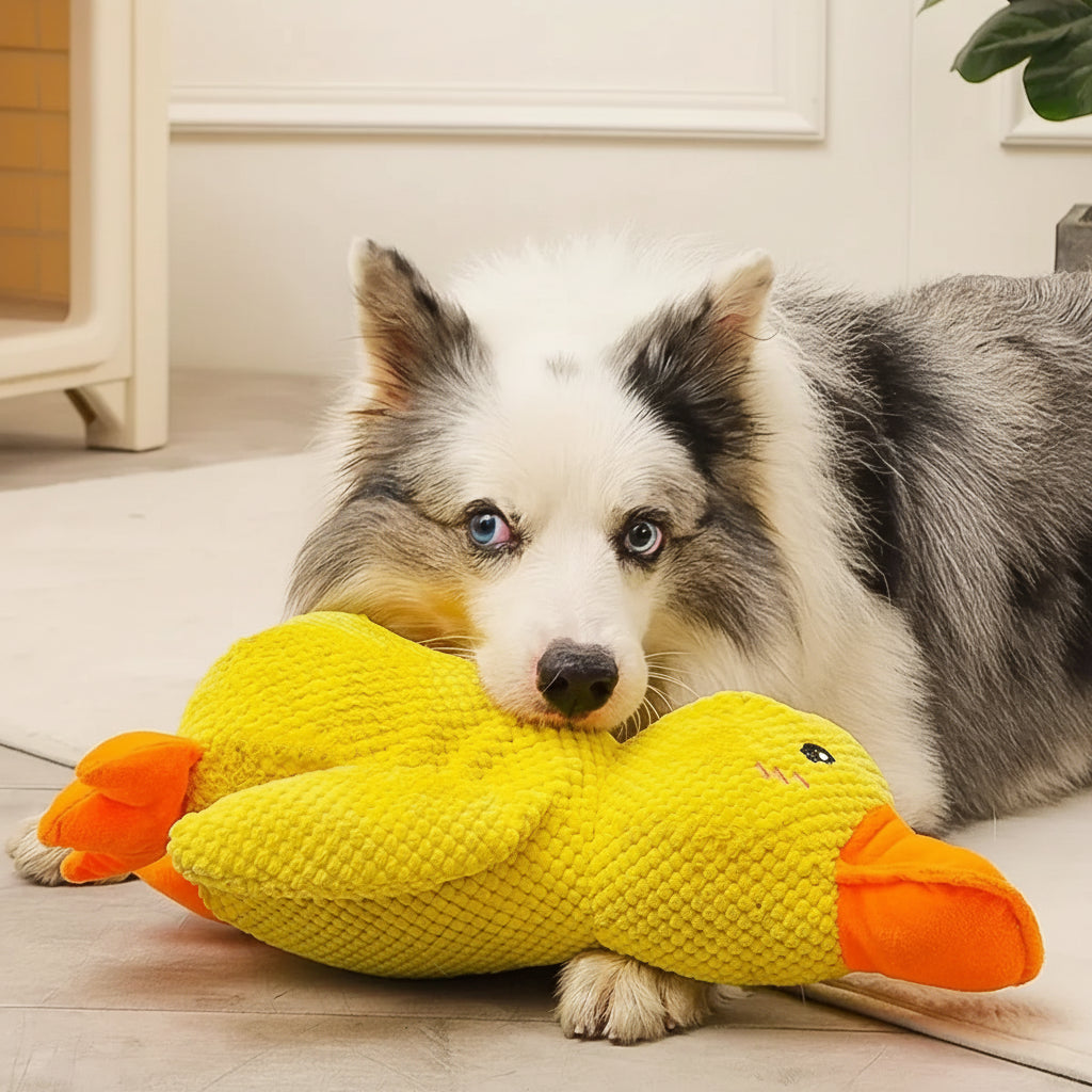 Interactive Dog Toy | Calming Duck with Quacking Sound | Engaging Chew Toy for Stress Relief