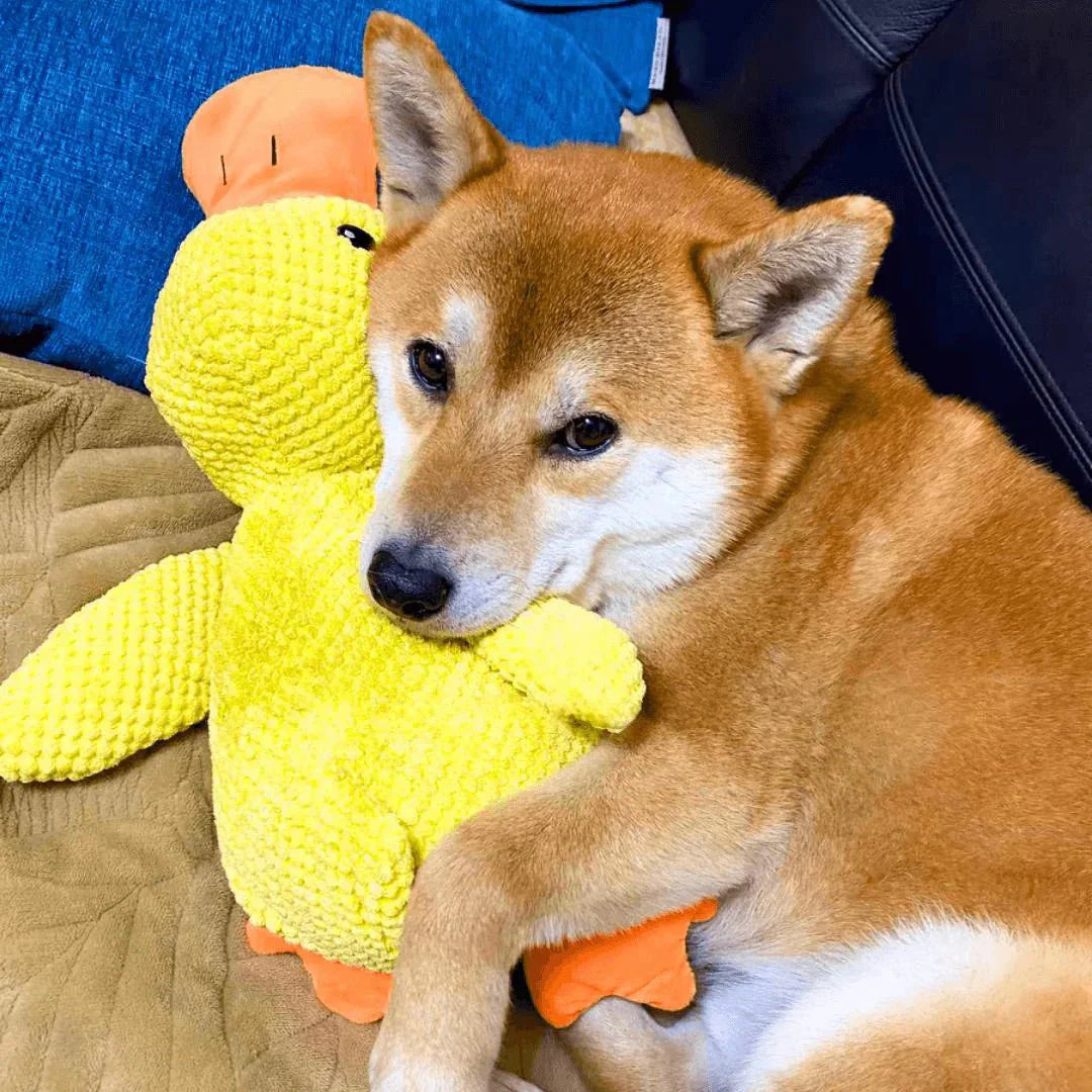 Interactive Dog Toy | Calming Duck with Quacking Sound | Engaging Chew Toy for Stress Relief