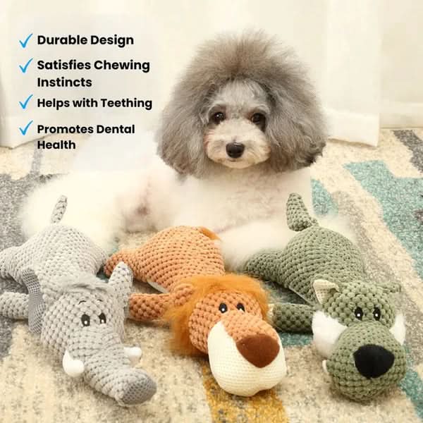 DENTACHEW – Dog Toy for Cleaning Teeth & Gums