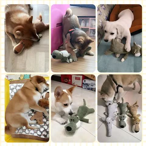 DENTACHEW – Dog Toy for Cleaning Teeth & Gums