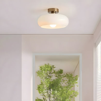 Hanging Dome Fixture 11-Inch Tinted Glass Hardwired Ceiling Drop Light for Kitchens Over Islands Bedrooms Breakfast Nooks Industrial Farmhou