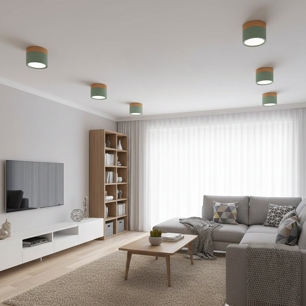 Compact Cylindrical Flush Mount LED Fixture for Residential Spaces – Aluminum Housing, Warm & Cool Temperatures, Multiple Finishes