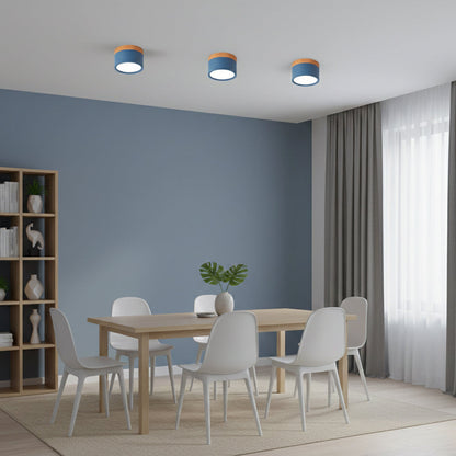 Compact Cylindrical Flush Mount LED Fixture for Residential Spaces – Aluminum Housing, Warm & Cool Temperatures, Multiple Finishes