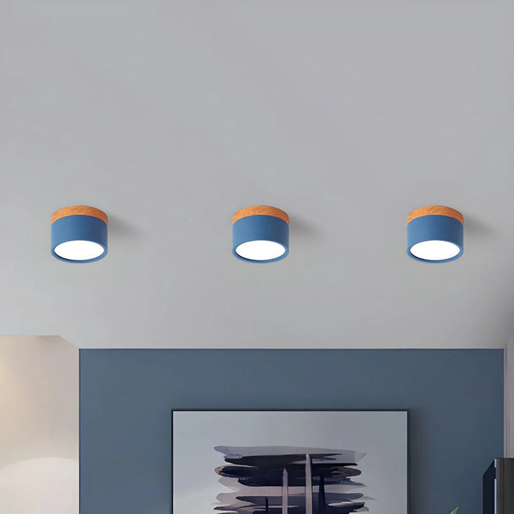 Compact Cylindrical Flush Mount LED Fixture for Residential Spaces – Aluminum Housing, Warm & Cool Temperatures, Multiple Finishes