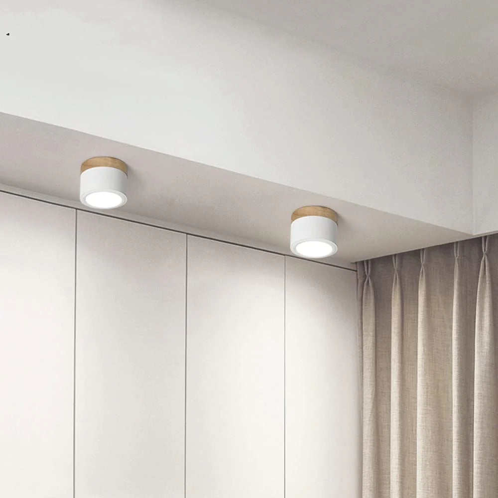 Compact Cylindrical Flush Mount LED Fixture for Residential Spaces – Aluminum Housing, Warm & Cool Temperatures, Multiple Finishes