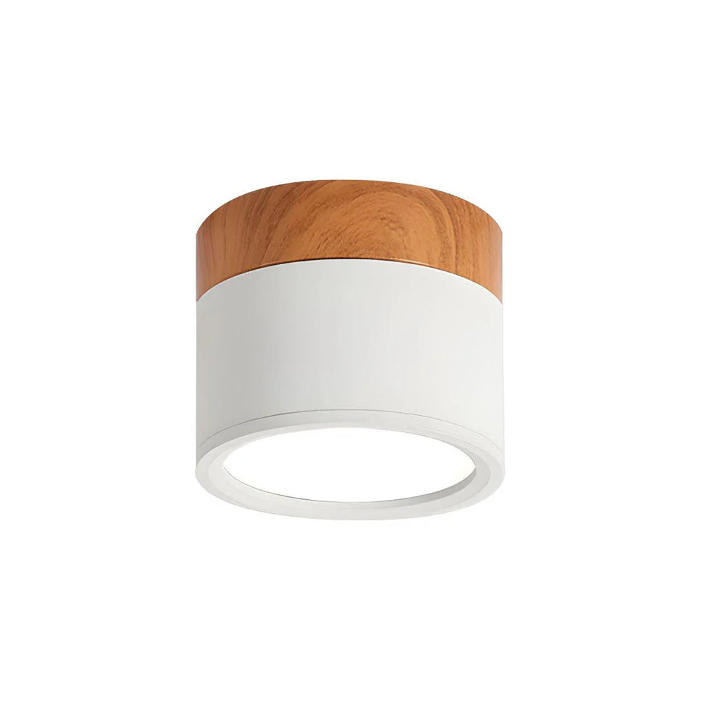 Compact Cylindrical Flush Mount LED Fixture for Residential Spaces – Aluminum Housing, Warm & Cool Temperatures, Multiple Finishes