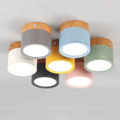 Compact Cylindrical Flush Mount LED Fixture for Residential Spaces – Aluminum Housing, Warm & Cool Temperatures, Multiple Finishes