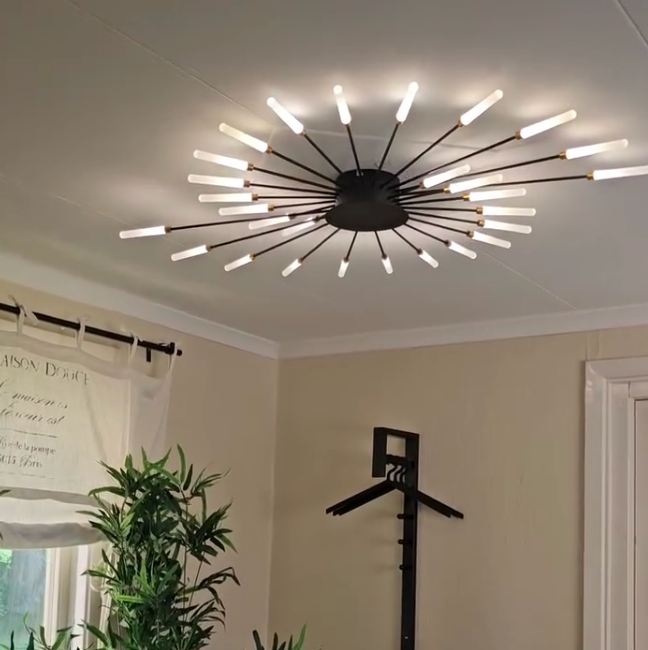 Starburst Flush Mount Ceiling Light Black Gold Modern Firework LED Fixture Bedroom Living Room Natural White Hardwired Indoor
