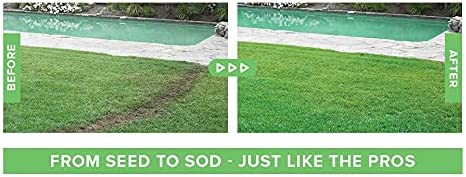 Lawn Care Solution | Liquid Grass Seed Spray with Nutrient-Rich Formula | Effortless Application for Vibrant Green Lawns