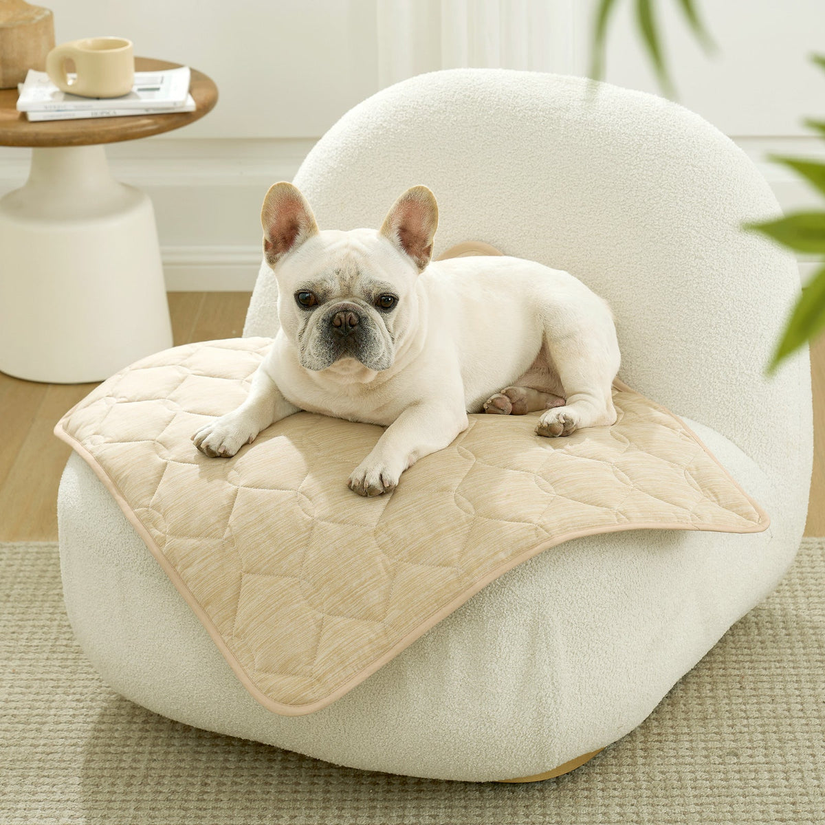 Leakproof Pet Couch Cover with Qmax Cooling Technology | Durable & Waterproof Sofa Protector for Stress-Free Relaxation