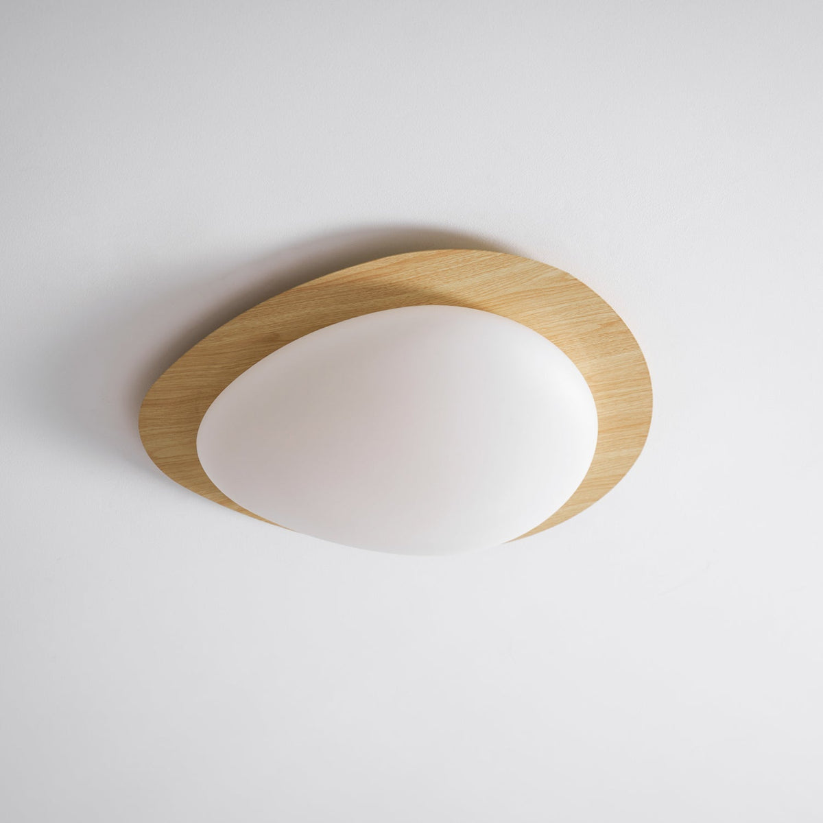 Flush Mount LED Ceiling Light Round 12 in Walnut Finish 12W Indoor for Bedroom Living Room Dining Room Kitchen Hallway Foyer Dimmable Low Pr