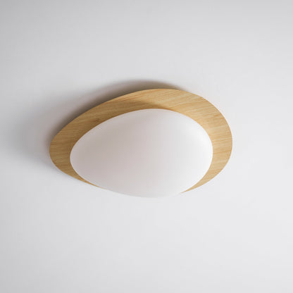 Flush Mount LED Ceiling Light Round 12 in Walnut Finish 12W Indoor for Bedroom Living Room Dining Room Kitchen Hallway Foyer Dimmable Low Pr