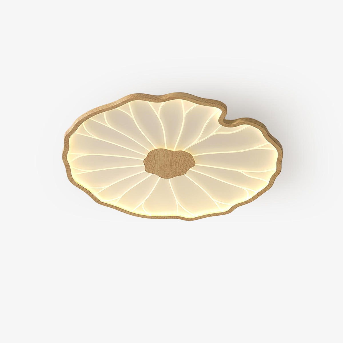 Wood-Look LED Ceiling Light Flush Mount with Botanical Curved Edge Design for Bedroom Living Room Kitchen