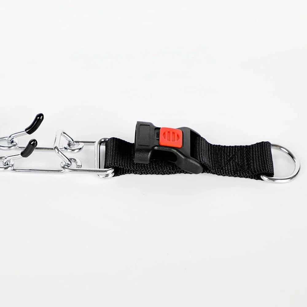 Dog Training Collar Nylon Quick-Release & Rust-Resistant D-Ring