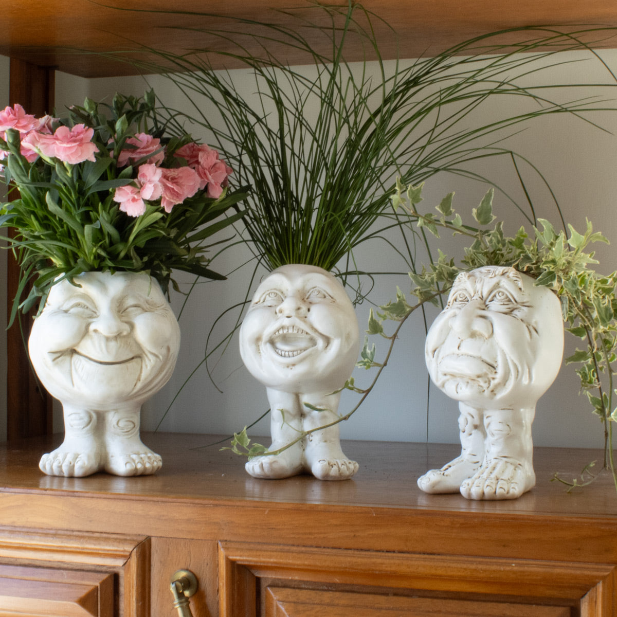 Muggly™  Planters