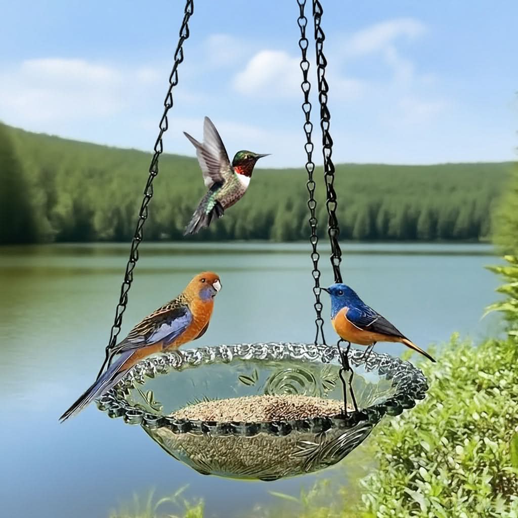 BIRDNEST – Hanging Double Bowl Feeder for Outdoor Bird Watching
