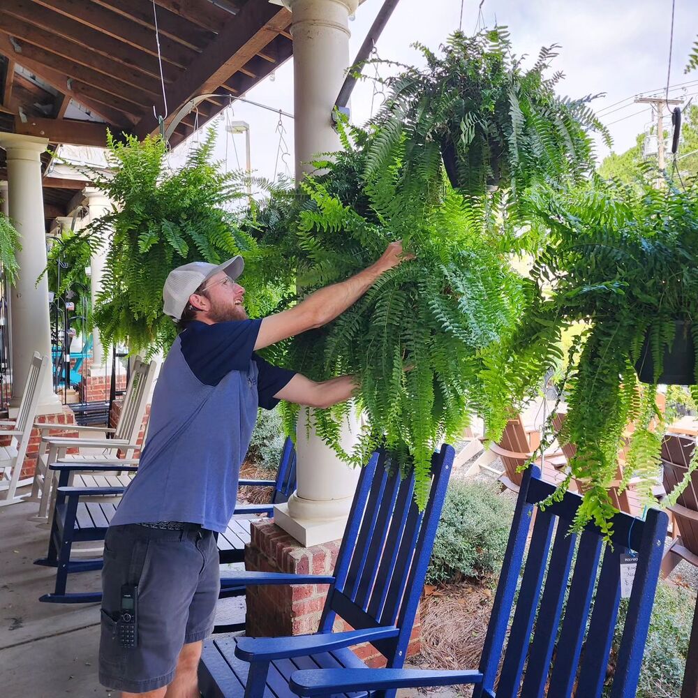 Hanging Faux Fern Plant Set – UV-Proof Outdoor Greenery 18-Piece Waterproof Vine Bundle for Patio Pergola Fence Garden Porch Decor Indoor