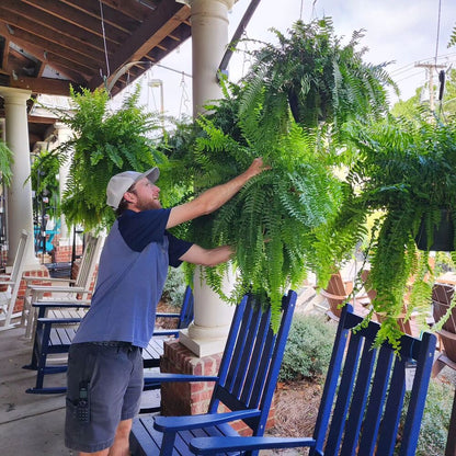 Hanging Faux Fern Plant Set – UV-Proof Outdoor Greenery 18-Piece Waterproof Vine Bundle for Patio Pergola Fence Garden Porch Decor Indoor