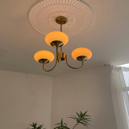 Multi-Head Pendant Chandelier with Colored Glass Shades 18-26 in Metallic Finish for Dining Room Bedroom Kitchen Island Overhead Lighting E2