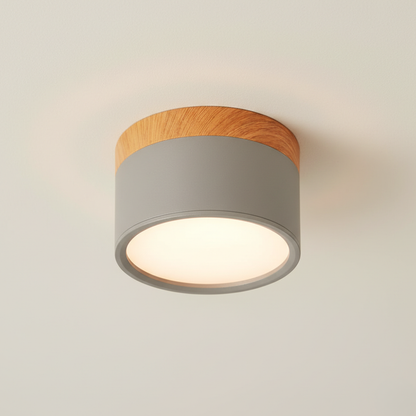 Modern Flush Mount Ceiling Light | Energy-Efficient LED Fixture with Sleek Design | Ideal for Contemporary Spaces