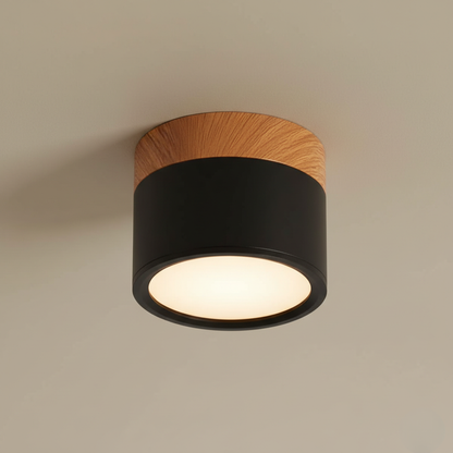 Modern Flush Mount Ceiling Light | Energy-Efficient LED Fixture with Sleek Design | Ideal for Contemporary Spaces