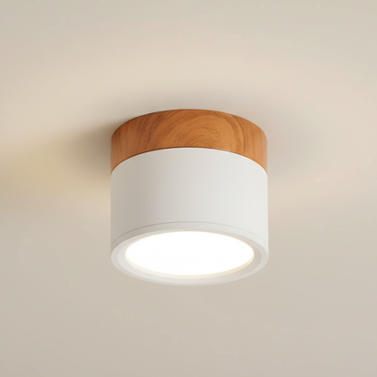Modern Flush Mount Ceiling Light | Energy-Efficient LED Fixture with Sleek Design | Ideal for Contemporary Spaces