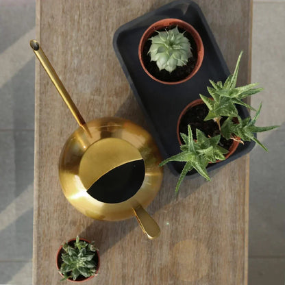 Metal Indoor Plant Watering Pitcher 11 in Diameter Long Spout Rust-Resistant Houseplant Tool Home Garden Container for Succulents Flowers