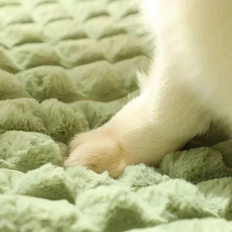 Quilted Orthopedic Dog & Cat Bed with Removable Washable Cover – Memory Foam Support for Joint Relief