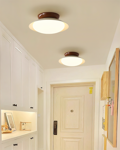 Flush-Mount LED Dome Light 10-Inch Metal Fixture Green Brown for Kitchen Bathroom Covered Patio Hallway Entryway Low-Profile Warm Glow 3000K