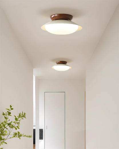 Flush-Mount LED Dome Light 10-Inch Metal Fixture Green Brown for Kitchen Bathroom Covered Patio Hallway Entryway Low-Profile Warm Glow 3000K
