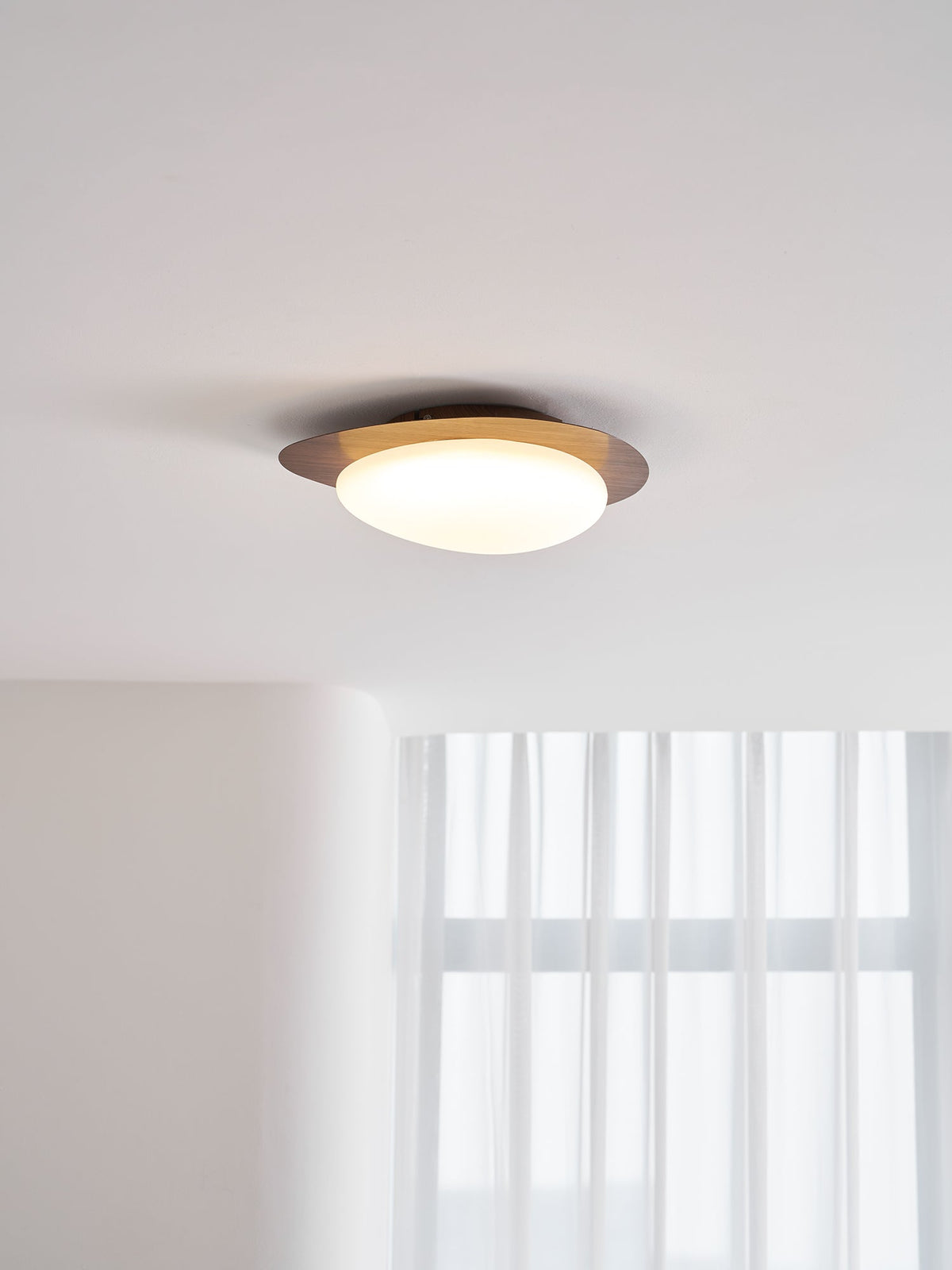 Flush Mount LED Ceiling Light Round 12 in Walnut Finish 12W Indoor for Bedroom Living Room Dining Room Kitchen Hallway Foyer Dimmable Low Pr