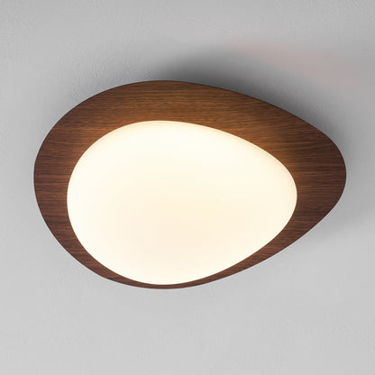 Flush Mount LED Ceiling Light Round 12 in Walnut Finish 12W Indoor for Bedroom Living Room Dining Room Kitchen Hallway Foyer Dimmable Low Pr