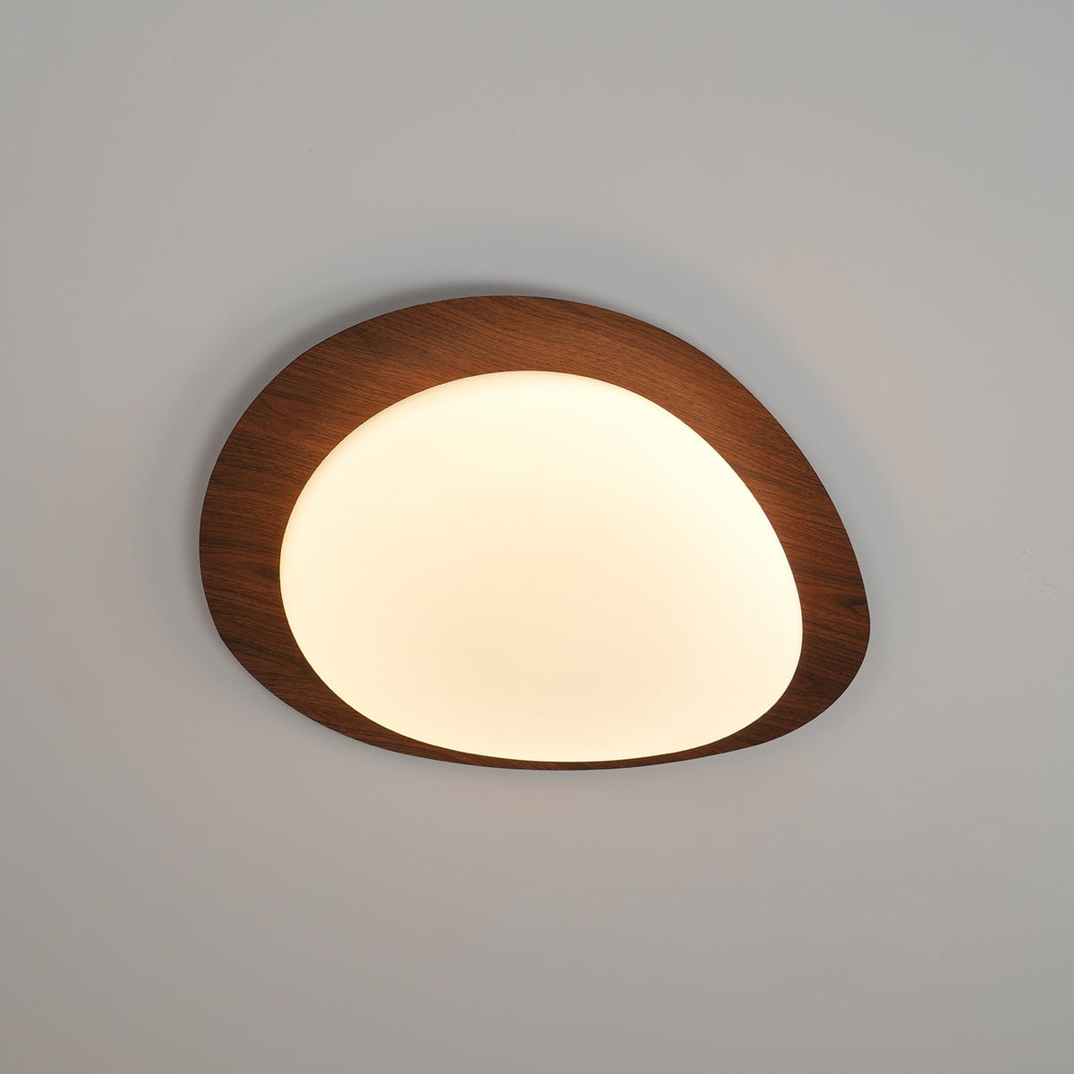 Flush Mount LED Ceiling Light Round 12 in Walnut Finish 12W Indoor for Bedroom Living Room Dining Room Kitchen Hallway Foyer Dimmable Low Pr