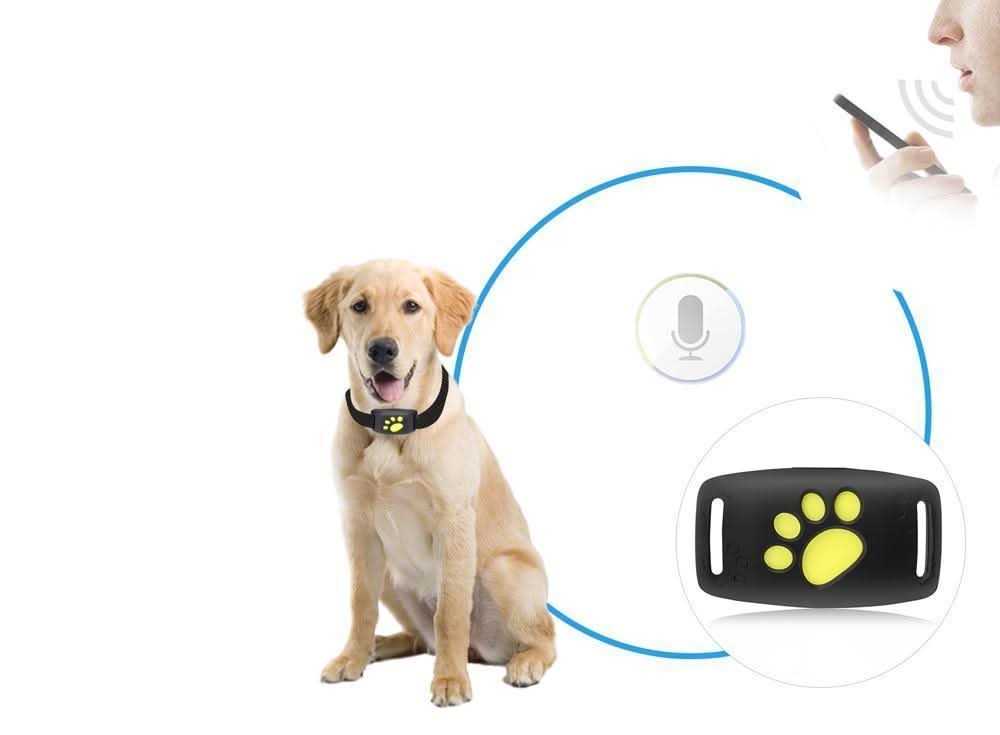 Ortekor Pet Tracker Series | GPS Cat Collar with Real-Time Location Updates | Lightweight Design for Cat Safety