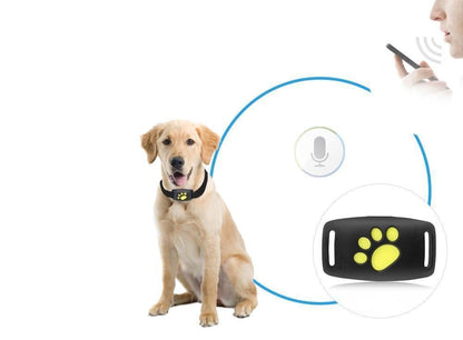 Ortekor Pet Tracker Series | GPS Cat Collar with Real-Time Location Updates | Lightweight Design for Cat Safety