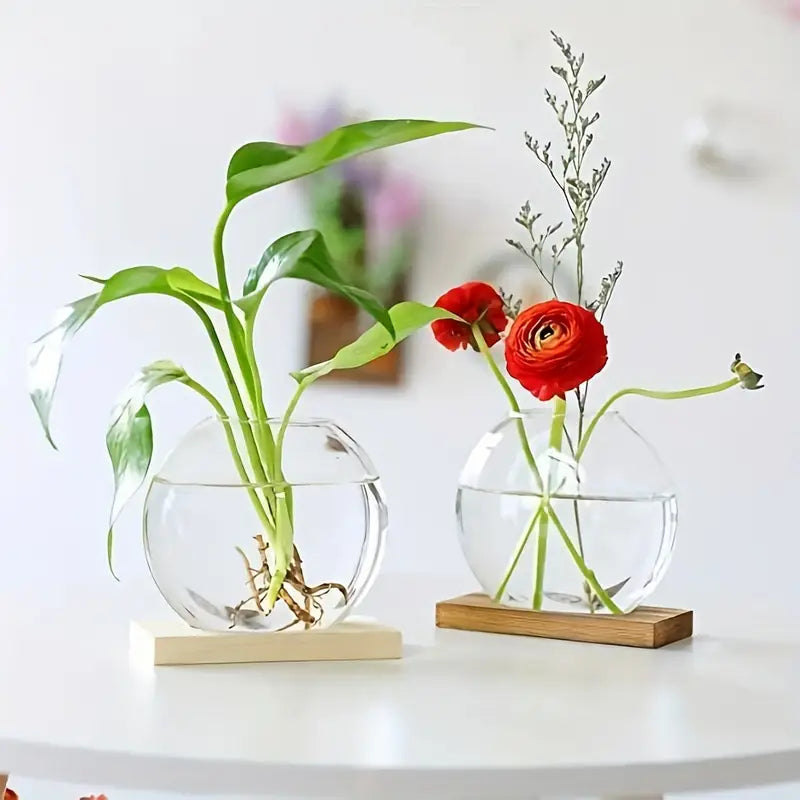 EdenOrb™ – Propagation Vase with Wooden Stand (Buy 1 Get 1 Free)