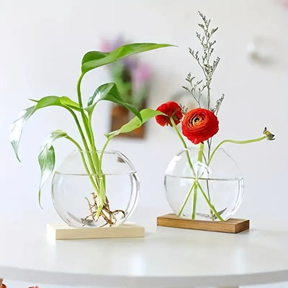 EdenOrb™ – Propagation Vase with Wooden Stand (Buy 1 Get 1 Free)