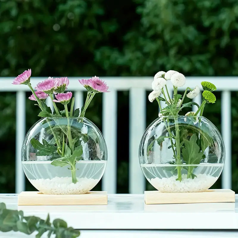 EdenOrb™ – Propagation Vase with Wooden Stand (Buy 1 Get 1 Free)