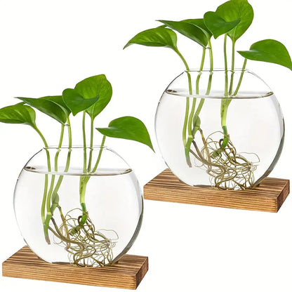 EdenOrb™ – Propagation Vase with Wooden Stand (Buy 1 Get 1 Free)