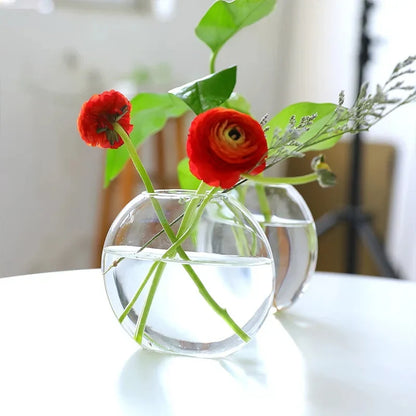 EdenOrb™ – Propagation Vase with Wooden Stand (Buy 1 Get 1 Free)