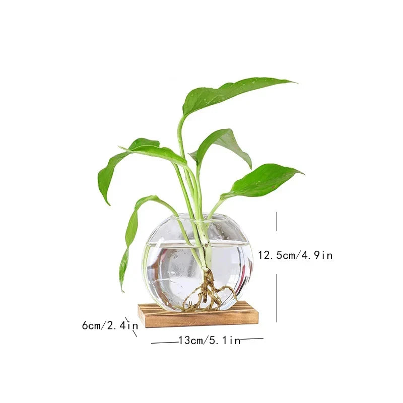 EdenOrb™ – Propagation Vase with Wooden Stand (Buy 1 Get 1 Free)