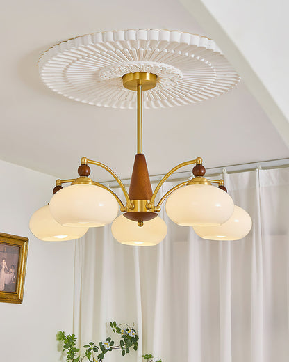 Multi-Arm Pendant Light Fixture Wood Brass Glass Shades Adjustable Height Dining Room Living Room Overhead Lighting 3 5 8 Bulb Vintage Indus
