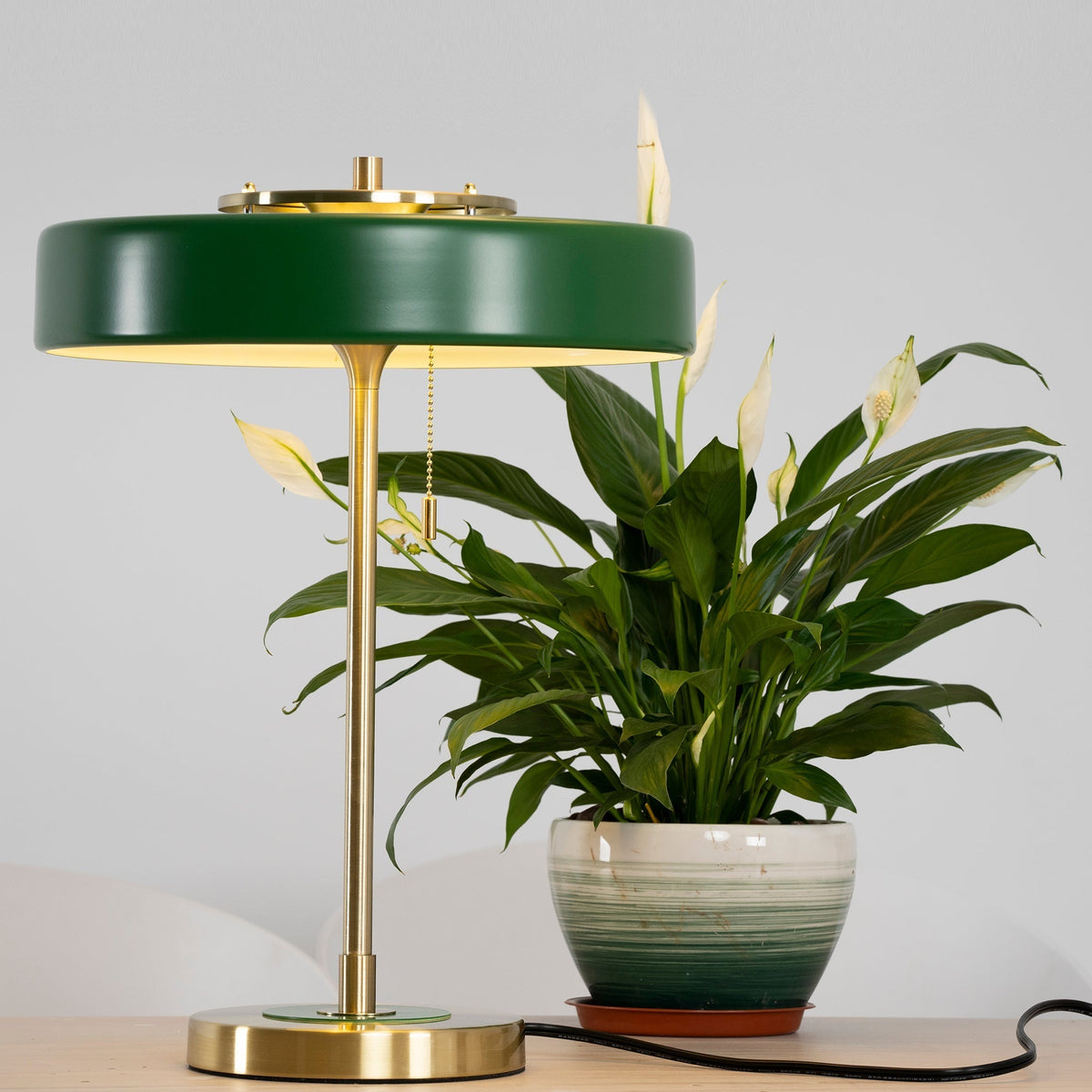 Bedside Reading Lamp with Metal Shade & Acrylic Diffuser for Desk Nightstand Lighting Office Bedroom Study Room Decor Pull Chain Switch Warm