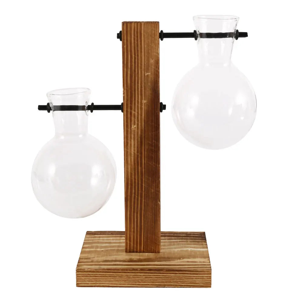 Transparent Bulb Planter with Natural Wood Base for Hydroponics & Fresh Cuttings | Tabletop Desktop Display Stand | Minimalist Home Office D