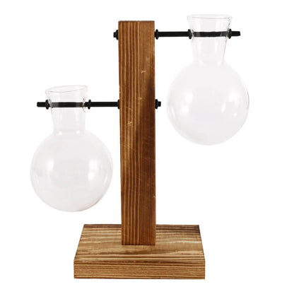Transparent Bulb Planter with Natural Wood Base for Hydroponics & Fresh Cuttings | Tabletop Desktop Display Stand | Minimalist Home Office D
