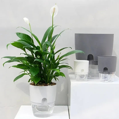 Indoor Plant Pot with Built-In Water Reservoir 9.3 Inch Tall for Succulents Herbs Houseplants Home Office Desktop Automatic Moisture Control